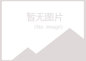 八公山区冰枫咨询有限公司